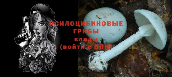 метадон Алексин