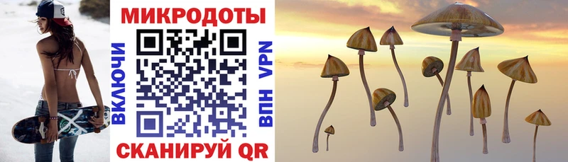 даркнет формула  Пучеж  Галлюциногенные грибы Magic Shrooms  как найти закладки 